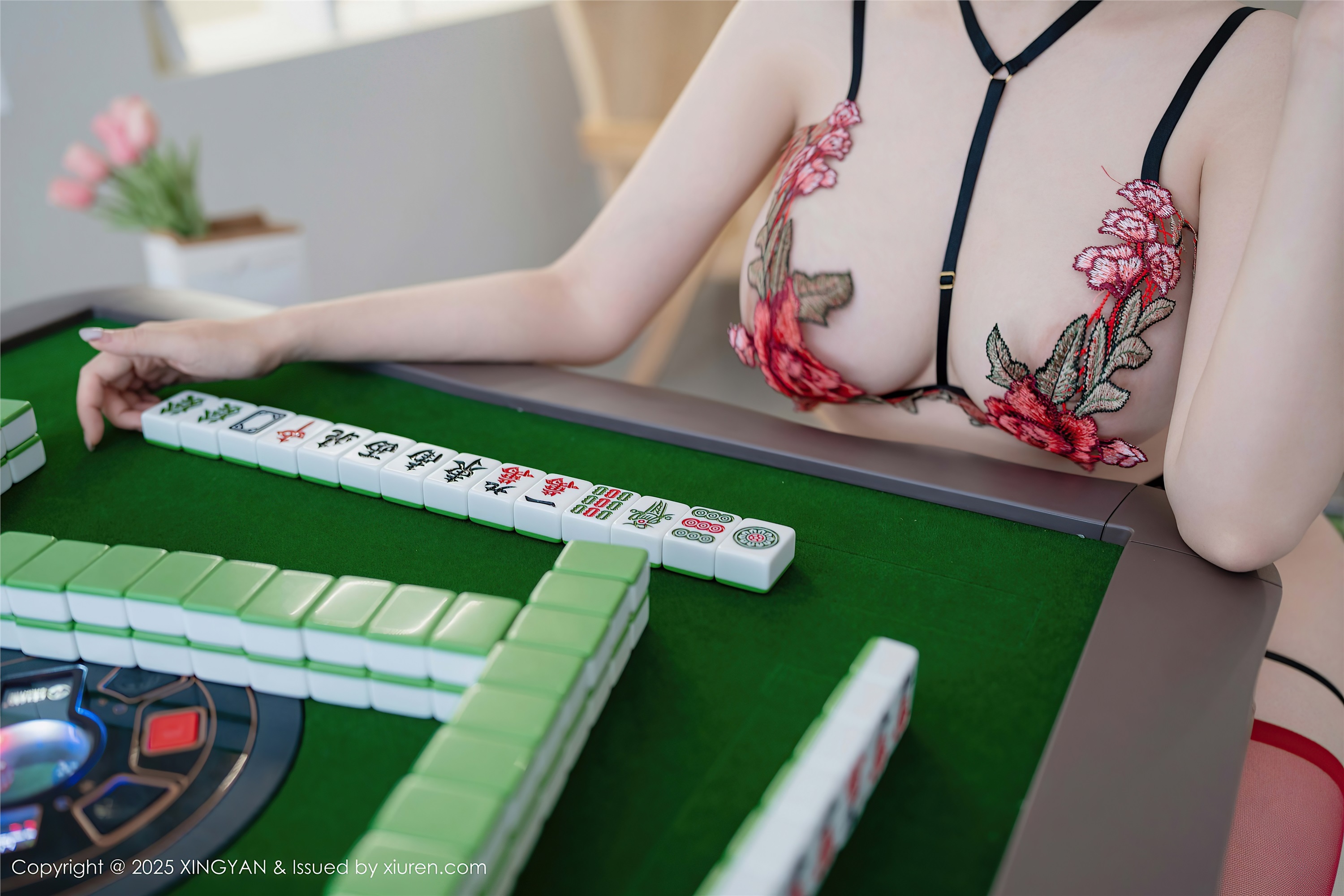 XINGYAN星颜社 2025.02.13 VOL.308 袁圆